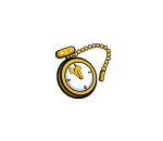 2009 Pocket Watch