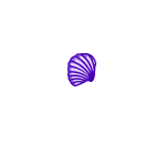 Purple Clam