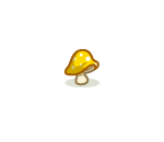Blonde Butter Bolete