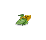 Roasted Corn