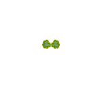 Plushie Sized Shamrock Specs