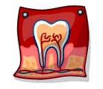 Teaching Teeth Poster