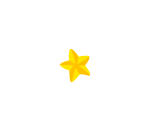 Super Duper Star