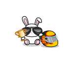 NASPET Racer Bunny