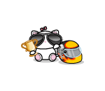 NASPET Racer Kitty