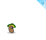 Mexican Jumping Bean