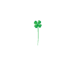 Lucky Clover