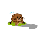 Petrified Petsatawny Phil