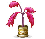 Exotic Potted Plant