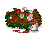 Her Majestys Royal Roses