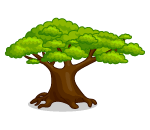 Out on a Safari Acacia Tree