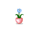 Egg Tulip
