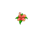 Hawaiian Flower