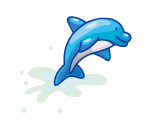 Happy Dolphin