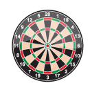 Pro Dart Board