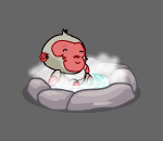 Onsen Monkey