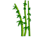 Bamboo Shoots