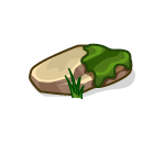 Moss Covered Rock