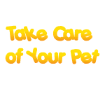 Spikey the Pet Cactus