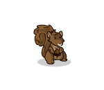 Little Brown Squirrel