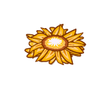 Happy Yellow Petdive Starfish