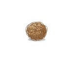 Desert Tumbleweed