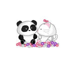 Golden Gate Park Plushies