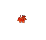Red Maple Leaf