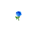 Beautiful Blue Rose