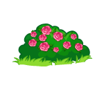 Pretty Pink Rose Bush