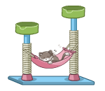 Sleeping Kitten in Cat Tree