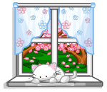 Lazy Kitty on the Window