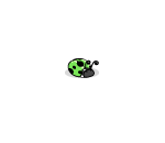 Green Ladybug