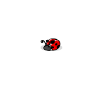 Red Ladybug