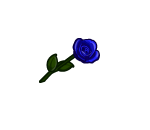 Royal Blue Rose