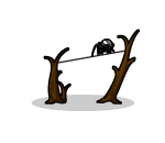 Spider Tight Rope