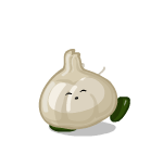 Simple Mini Buddy Alliaceae