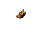 Fluttering Butterfly