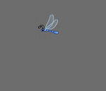 Blue Dragonfly