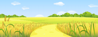 Country Wheat Field