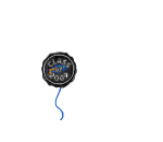 Class of 2009 Mylar Balloon