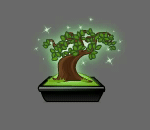 Enchanted Bonsai