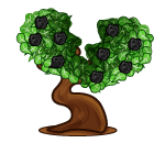 Broken Heart Topiary