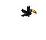 Toucanny Toucan