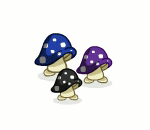 Dancing Mushrooms