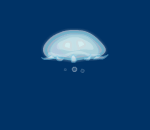 Moon Jellyfish