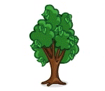 Incredible Color Changing Tree