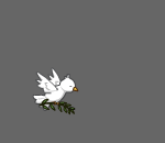 Peaceful Flying Dove