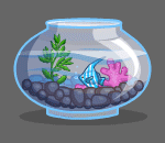Fishy Fish Bowl