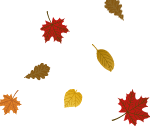Falling Leaves